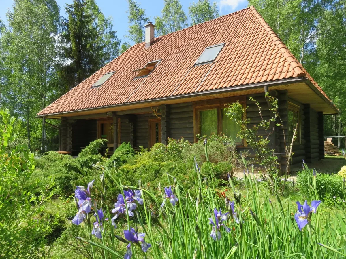 Kāpu mežs Lēveri tuvumā