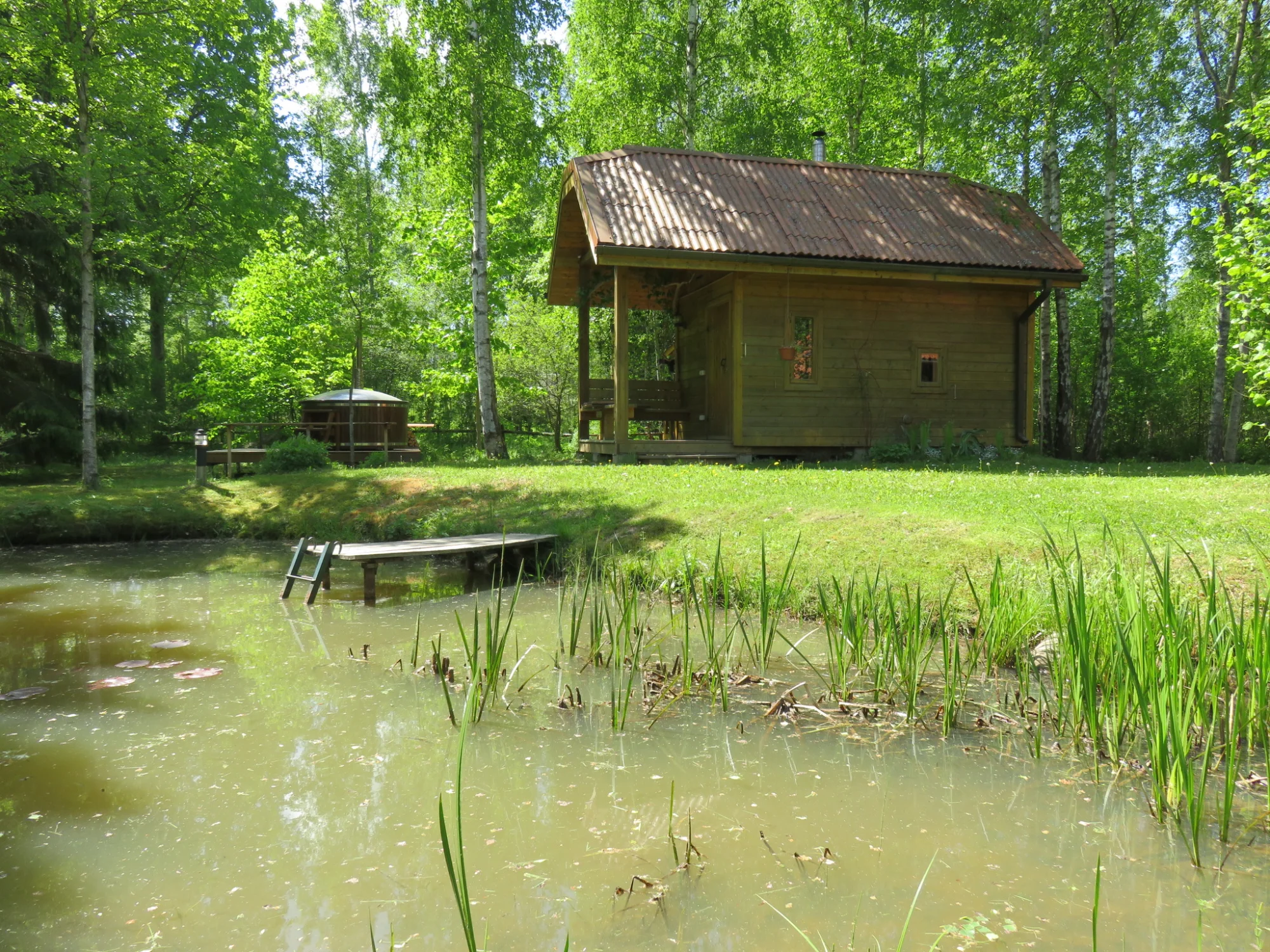 Pirts ar bērzu slotiņām un tvaiku
